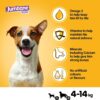 Pedigree Jumbone Mini Adult Dog Treats