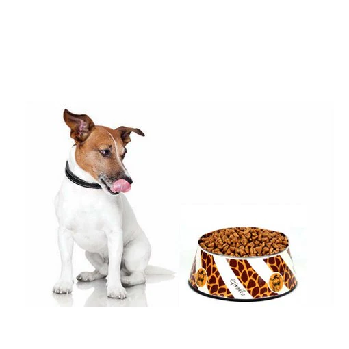 Baby Got Back Dog Feeding Bowl - Orange